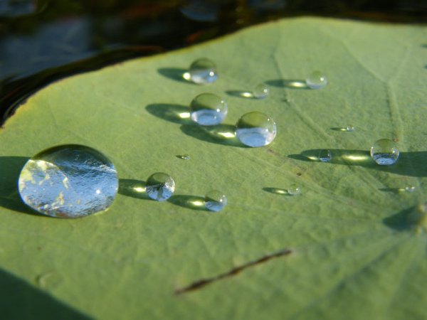 DSCF9316.JPG