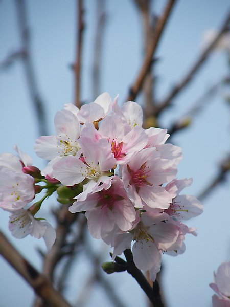 DSCF7637.JPG