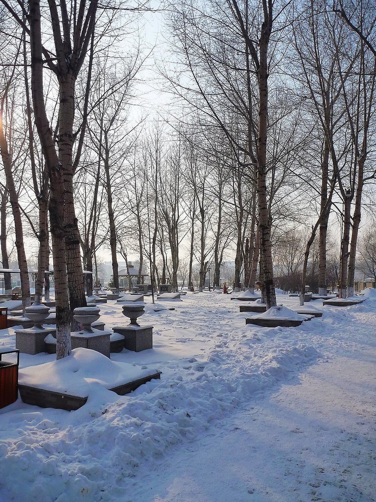 P1010447.JPG