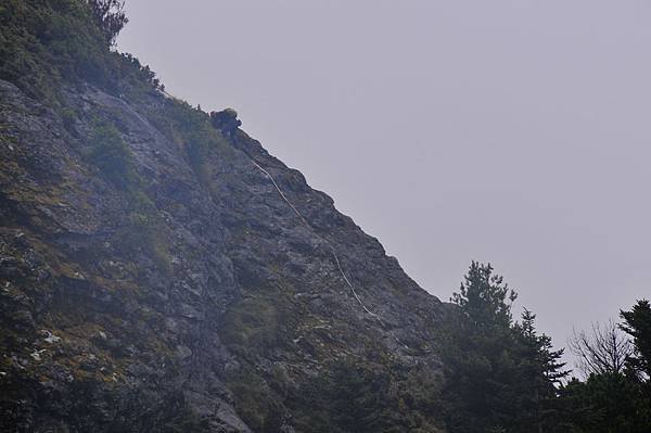103 9.4-9新康山 121