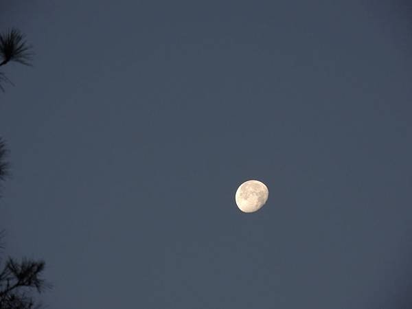 DSCN6146.JPG