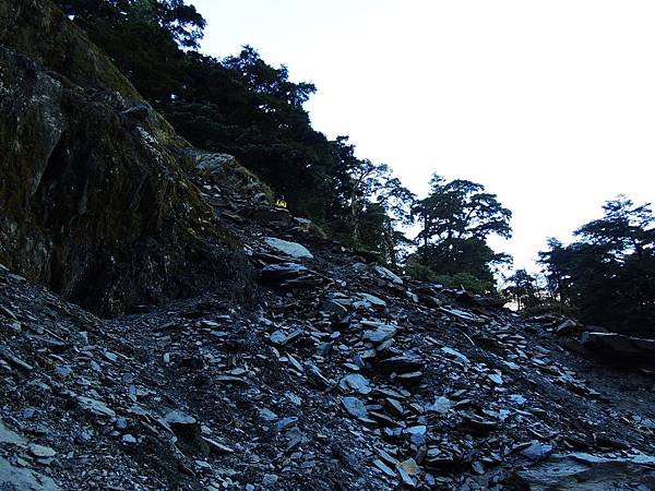 DSCN6182.JPG