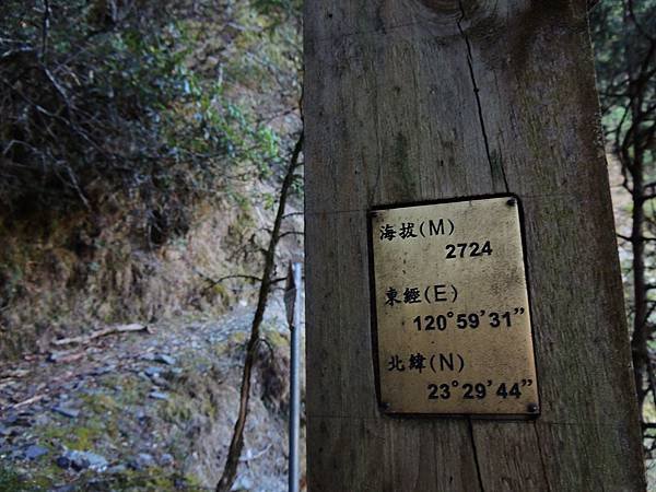 DSCN6200.JPG