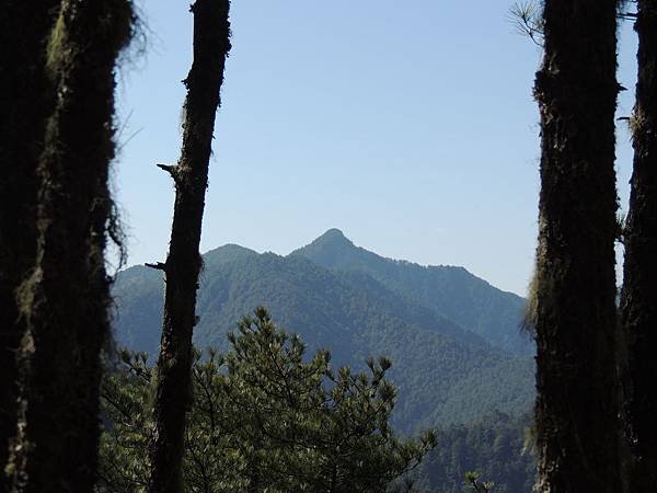 DSCN6263.JPG