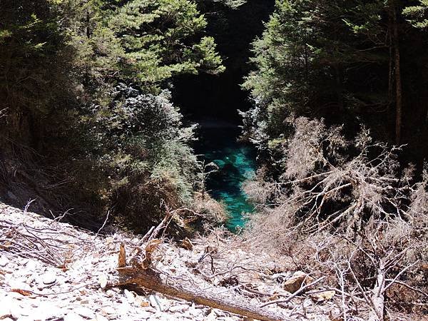 DSCN6310.JPG