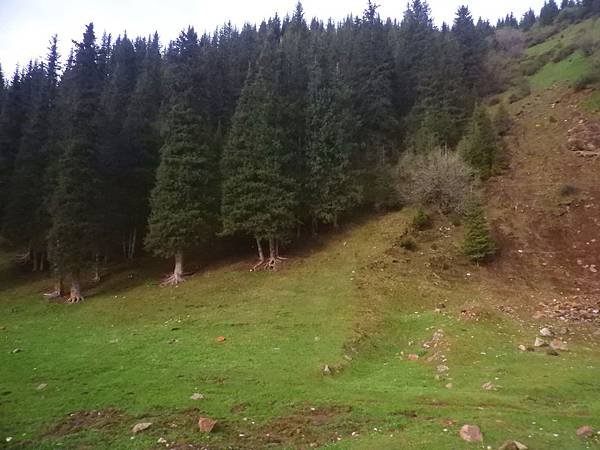 DSCN3154.jpg