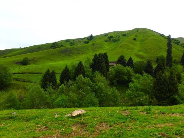 DSCN3286.JPG