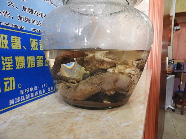 DSCN3323.JPG