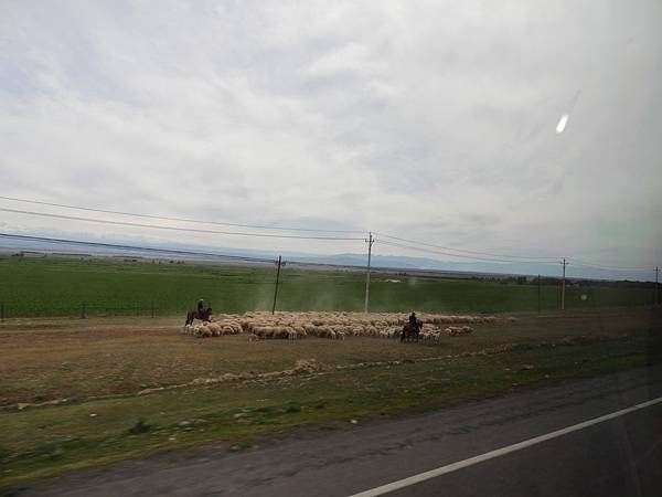DSCN3346.JPG