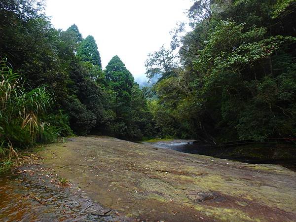 PA091115 左去阿里山  右繞回豐山.JPG