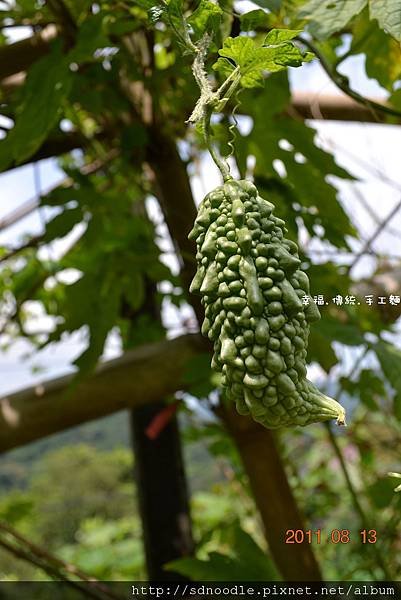 幸福-傳統-手工麵 (14).jpg