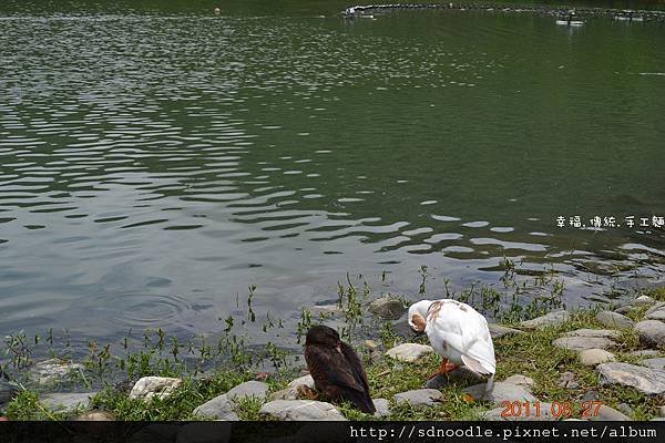 宜蘭梅花湖 (2).jpg