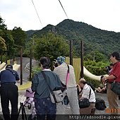 青影社綠茶麵9-24.jpg