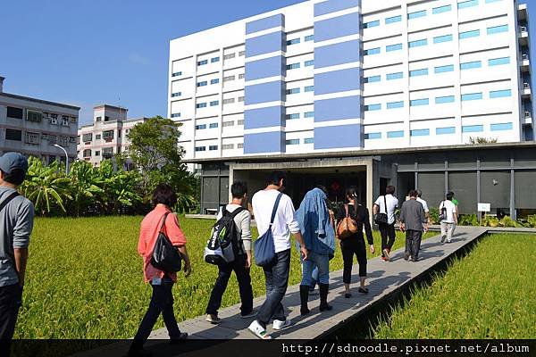 苗栗-山水有機稻場 (3).jpg