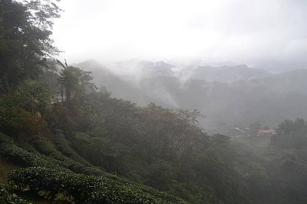 雨中的石碇 (3).jpg