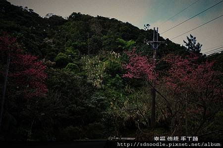 新北市-石碇櫻花二格道路.jpg