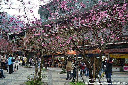 烏來賞櫻花-新北市 (42).jpg