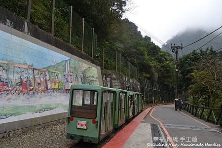 烏來賞櫻花-新北市 (70).jpg