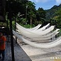 石碇國小-麵線體驗6-26 (181)