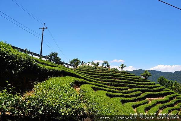 新北市石碇一日遊-石碇DOC休閒小旅行 (111)