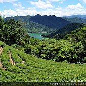 新北市石碇一日遊-石碇DOC休閒小旅行 (142)