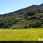 石門梯田音樂會-農村市集[新北市石門區嵩山社區] (2)