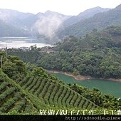 石碇八卦茶園-千島湖[新北市旅遊,一日遊] (31) (15)