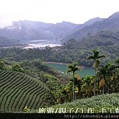 石碇八卦茶園-千島湖[新北市旅遊,一日遊] (31) (19)