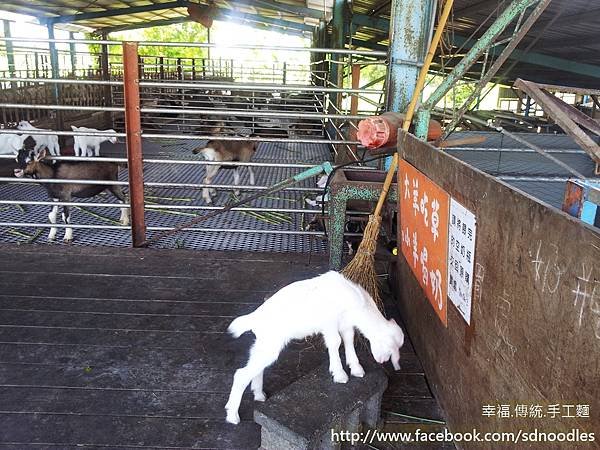 宜農農場-親子旅遊