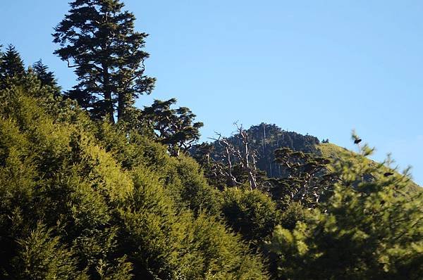 taiwan旅遊/南投清靜/合歡山週邊/