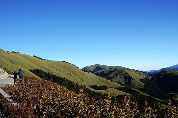 南投清靜/合歡山週邊/台灣旅遊