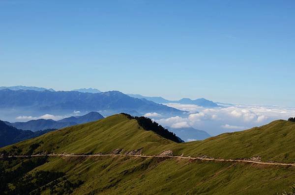 南投清靜/合歡山週邊/台灣旅遊