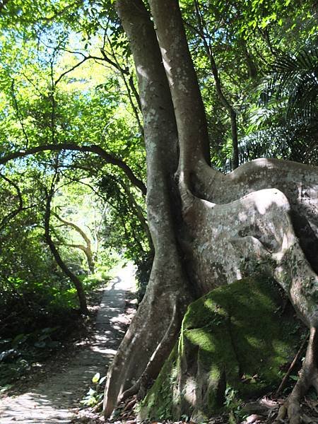 烏塗溪步道