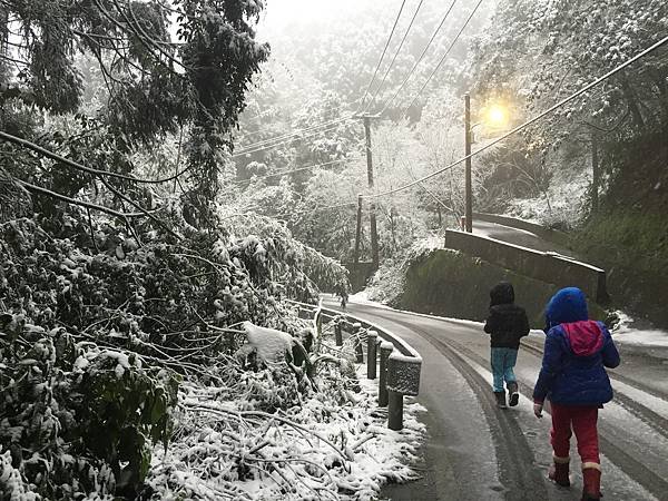 石碇下雪了,2016/1/24