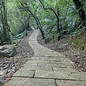 烏塗溪步道 (2).JPG