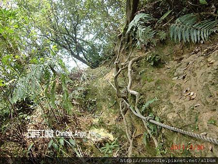 石碇皇帝殿-往東峰 (15).JPG