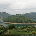 石碇永安-八卦茶園 (2).JPG