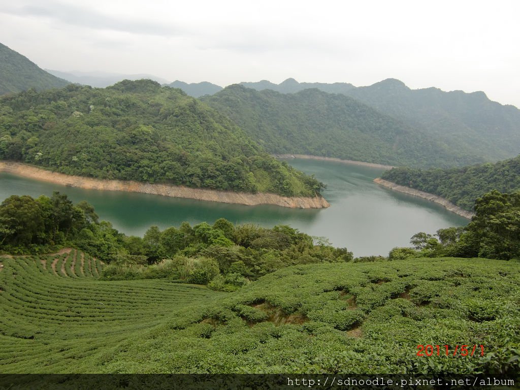 石碇永安-八卦茶園 (3).JPG