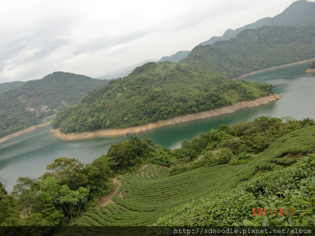 石碇永安-八卦茶園 (4).JPG
