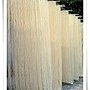 太陽3.jpg