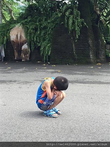 動物園出遊_1458.jpg