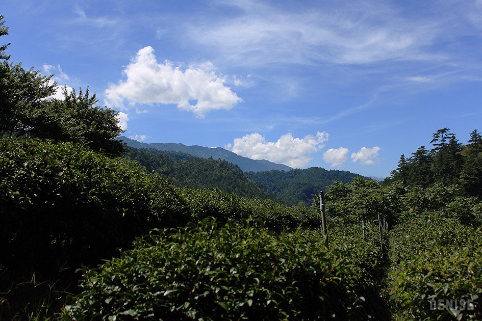 IMG_8486.jpg