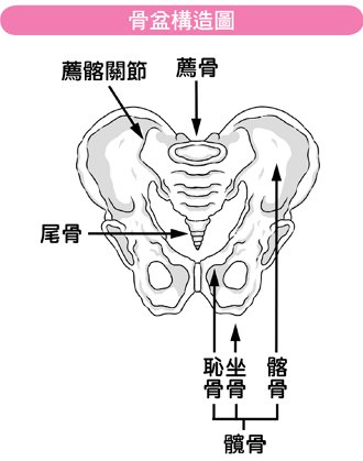 f_389739_1