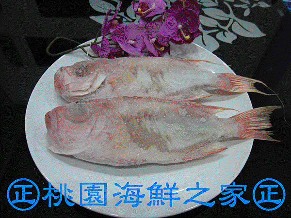 桃園海鮮之家【冷凍紅目蓮魚】