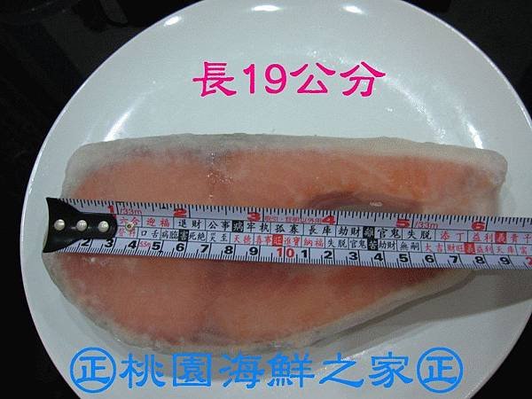 桃園海鮮之家【大片鮭魚片】