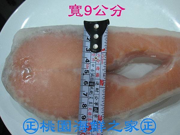 桃園海鮮之家【大片鮭魚片】