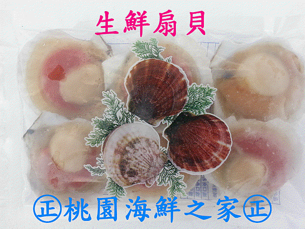 桃園海鮮之家【生鮮半殼扇貝】