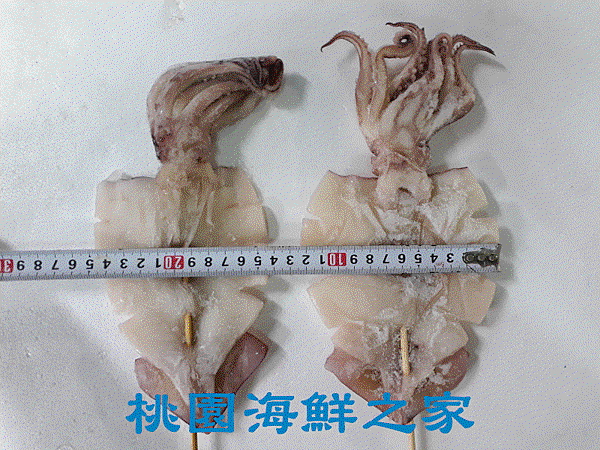 3.gif