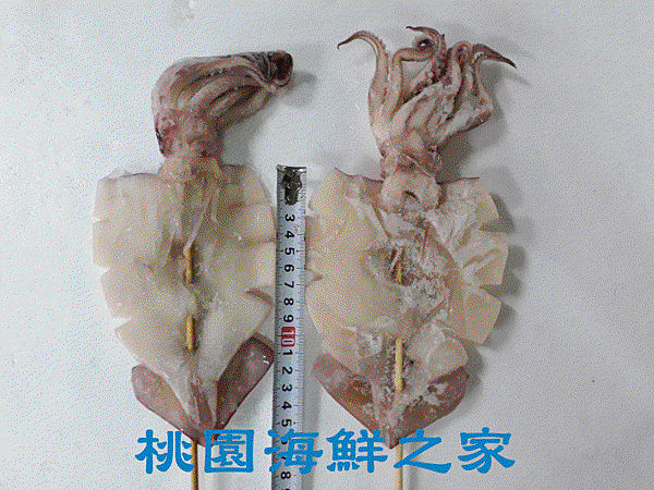 2.gif