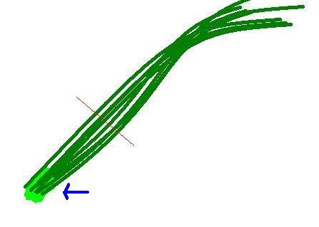 野蓮菜切割點